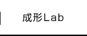 成形Lab